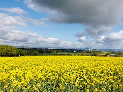 Hessen: Sonne und bis 20 Grad – bestes Ausflugswetter am Wochenende