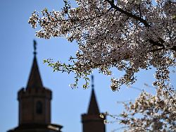 Berlin & Brandenburg: Sonniger Sonntag, Nächte bleiben frostig