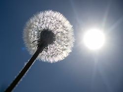 Wetterwoche im Schnellcheck: Beim Tanz in den Mai wackelt die Sommermarke