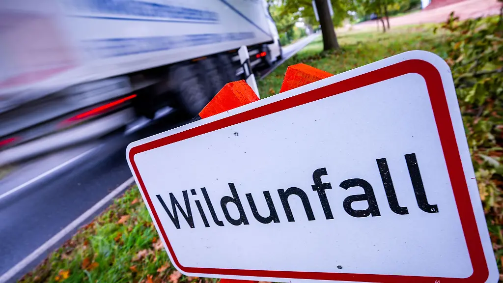 Im-Suedosten-von-Schleswig-Holstein-gab-es-21-Wildunfaelle-von-Sonntagabend-bis-Montagmorgen