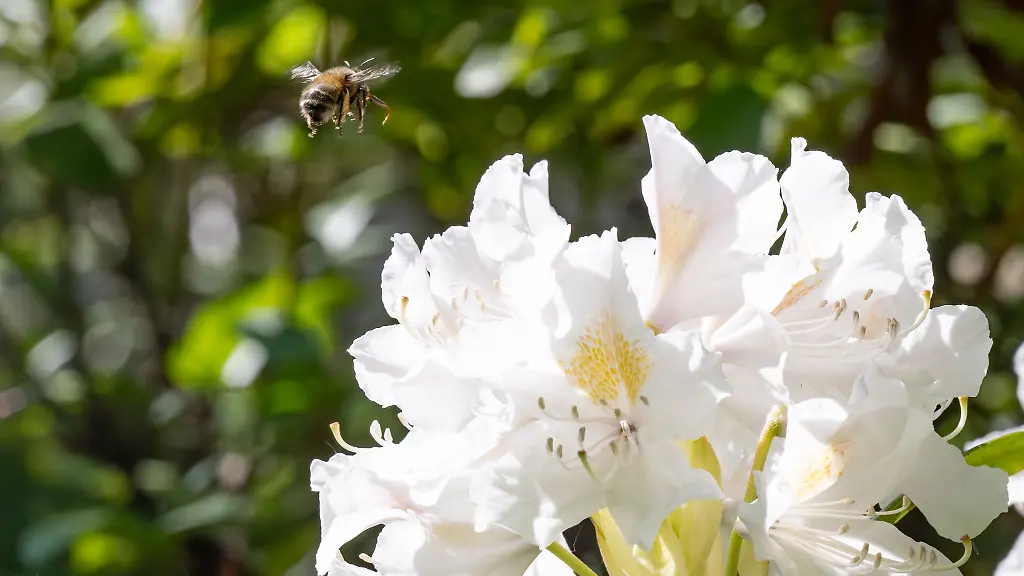 Die-Temperaturen-erreichen-am-Montag-vielerorts-um-20-Grad