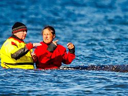 Begleitet das Tier bis zum Ende: Warum wurde Till Backhaus zum obersten Walretter?