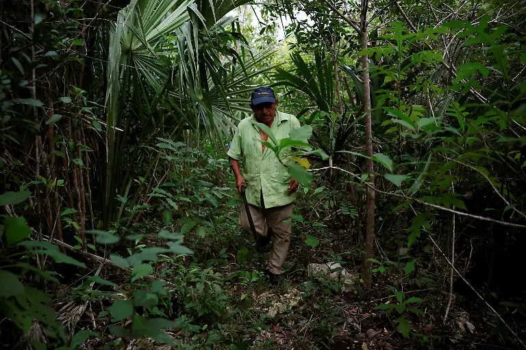 The-Maya-Train-passes-through-the-Mayan-community-of-Uh-May-in-Quintana-Roo-state-Mexico-November-11-2025-Historically-marginalized-Maya-populations-in-Mexico-s-southeast-have-long-faced-high-poverty-rates-and-limited-access-to-services-and-while-the-Mayan-Train-was-promoted-as-a-way-to-bring-development-to-Indigenous-Maya-communities-many-community-activists-say-instead-that-their-forests-have-been-fragmented-communal-lands-eroded-and-traditions-strained-For-many-Maya-the-land-over-which-it-runs-is-their-sacred-inheritance-central-to-their-identity-and-linking-them-to-their-ancestors-REUTERS-Daniel-Becerril-SEARCH-BECERRIL-MAYA-TRAIN-FOR-THIS-STORY-SEARCH-WIDER-IMAGE-FOR-ALL-STORIES