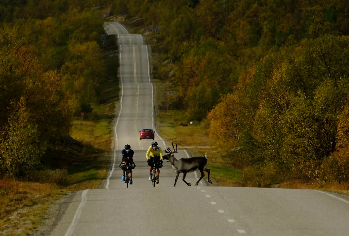 04e3d972-0001-0004-0000-000001493707-w1528-r1-47375-fpx65-14-fpy50