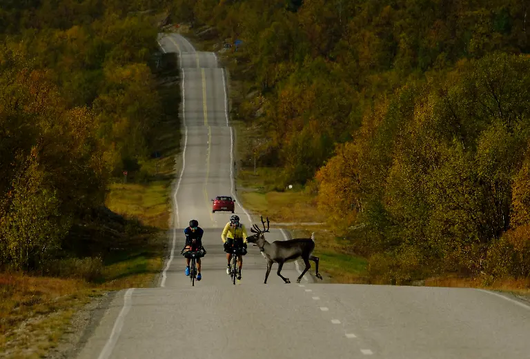 04e3d972-0001-0004-0000-000001493707-w1528-r1-47375-fpx65-14-fpy50