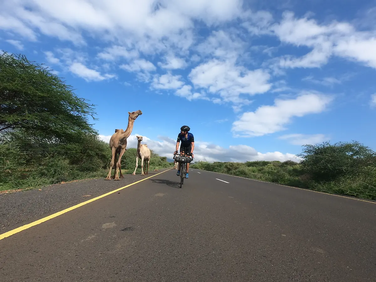 G0414577-1572074994216-high