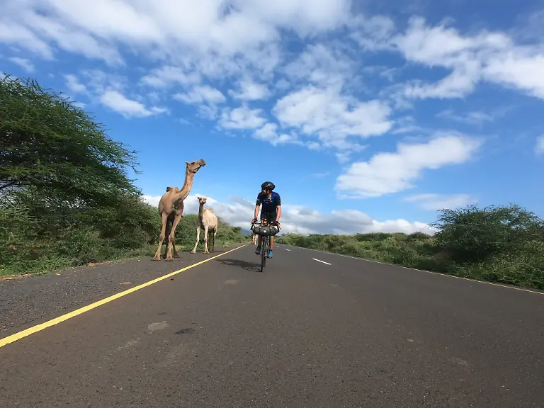 G0414577-1572074994216-high