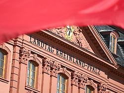 Rheinland-Pfalz & Saarland: AfD startet Kampagne gegen geplante Verfassungsänderung