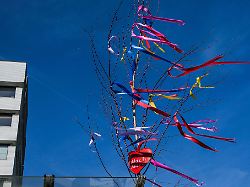 Nordrhein-Westfalen: Zeichen der Liebe: Maibaum-Verkauf startet