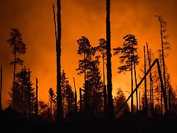 Thüringen: Thüringen plant mehr Löschwasserstellen in Wäldern