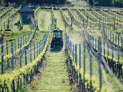 Baden-Württemberg: Aprilende bringt Sonne - und wie wird das Wetter am 1. Mai?