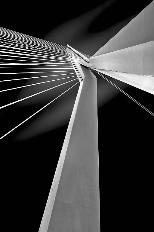 10 Erasmusbrug - Rotterdam
