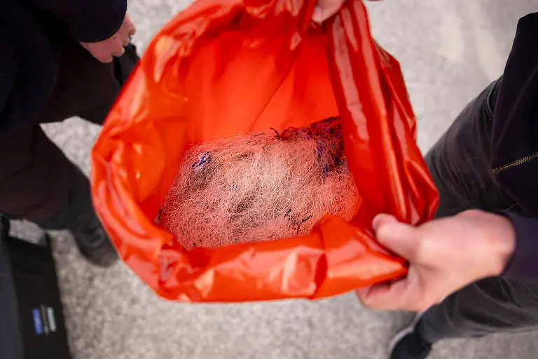 Netze-und-Leinen-die-vom-Wal-entfernt-wurden-Buckelwal-strandet-vor-Niendorfer-Hafeneinfahrt-Timmendorfer-Strand-23-03