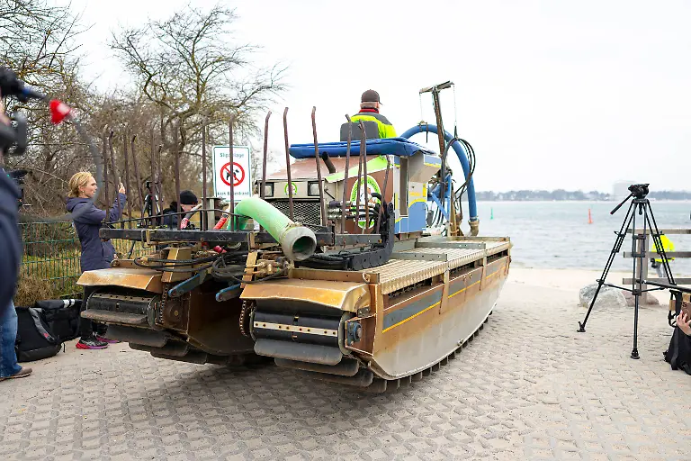 Buckelwal-strandet-vor-Niendorfer-Hafeneinfahrt-Timmendorfer-Strand-24-03