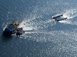 Vorbei an Fehmarn: Mit Sonnensegel, ohne Futter: Wal bewegt sich auf Dänemark zu