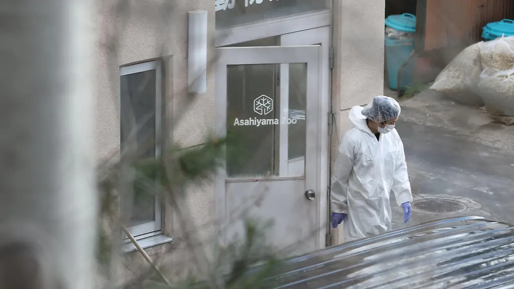 A-person-wearing-protective-clothing-exits-a-building-believed-to-contain-an-incinerator-at-Asahiyama-Zoo-in-Asahikawa-City-Hokkaido-Japan-on-April-24-2026-Hokkaido-Police-is-questioning-a-zoo-staff-member-in-his-30s-voluntarily-on-suspicion-of-abandoning-his-wife-s-body-The-man-testified-that-he-abandoned-her-in-the-incinerator-of-the-zoo-according-to-the-police-Asahiyama-Zoo-is-popular-for-its-exhibits-designed-to-showcase-animals-natural-behavior