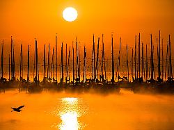 Niedersachsen & Bremen: Viel Sonne und wenig Regen im April in Niedersachsen