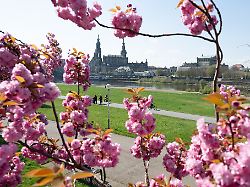Sachsen: Sachsen ist im April das kühlste Bundesland