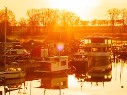 "Recht heftiger" Rummel zu Ende: Insel Poel atmet nach Wal-Drama durch