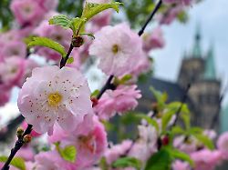 Thüringen: Sonne und sommerliche Temperaturen zum Start in den Mai
