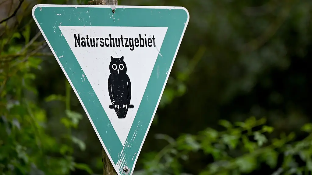 Der-ehemalige-Tagebausee-Zipsendorf-Sued-bei-Zeitz-wird-vorerst-unter-Naturschutz-gestellt
