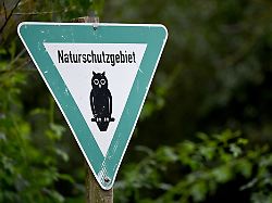 Sachsen-Anhalt: Braunkohle-See bei Zeitz wird Schutzgebiet für Wasservögel