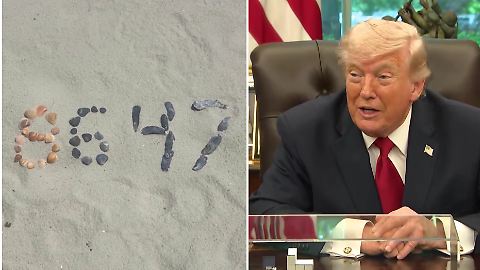trump (2)