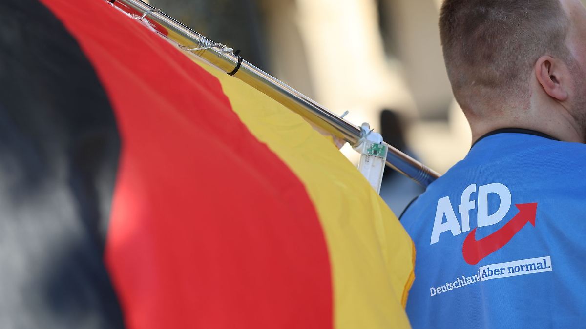 AfD feiert in Schönebeck: Familienfest als Wahlkampfauftakt unter dem Banner der EU-Rechtsfraktion — image 1