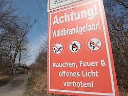 Sachsen: Waldbrandgefahr steigt - am Sonntag höchste Stufe erwartet