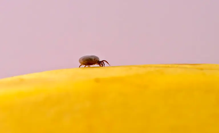 imago762379514
