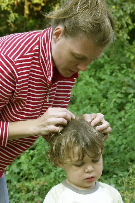 Eine-Mutter-durchsucht-nach-einem-Waldspaziergang-den-Kopf-ihres-Jungen-nach-Zecken-Model-Release-2006-a-Mother-searched-after-a-Waldspaziergang-the-Head-her-Boys-after-Ticks-Model-Release-2006