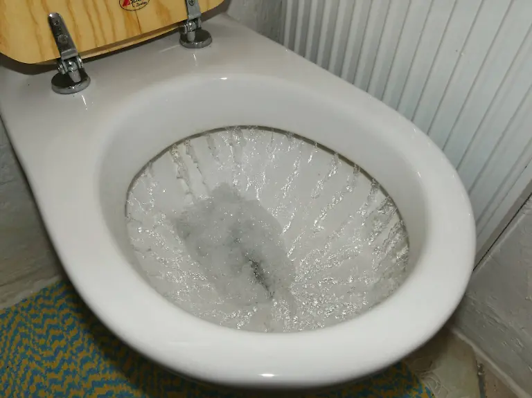 Toilettenspuelung-mit-sauberem-Trinkwasser-Toilettenspuelung-Koeln-Nordrhein-Westfalen-Deutschland-29-03