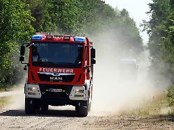 Berlin & Brandenburg: Waldbrand bei Jüterbog - Munition erschwert Löscheinsatz