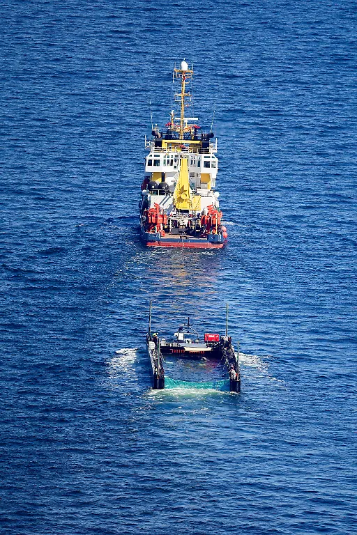 Der-Buckelwal-wird-in-seiner-Barge-vom-Schlepper-Fortuna-B-entlang-der-daenischen-Kueste-in-Hoehe-Aarhus-in-Richtung-Nordsee-durch-die-Ostsee-gezogen-die-Robin-Hood-begleitet-den-Konvoi-weiterhin
