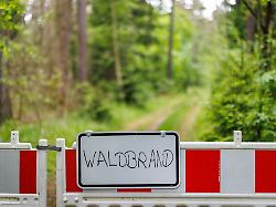 Hessen: Waldbrand bei Romrod flammt wieder auf