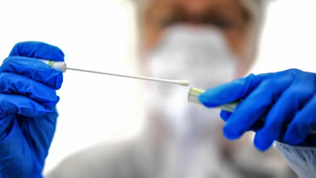 Ein-Abstrichstaebchen-fuer-einen-Corona-Test