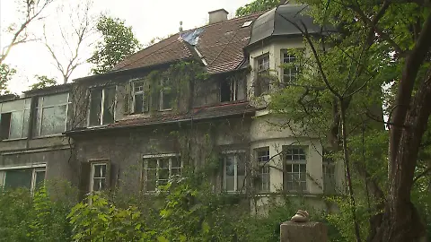 KoelnNews_338495336_25