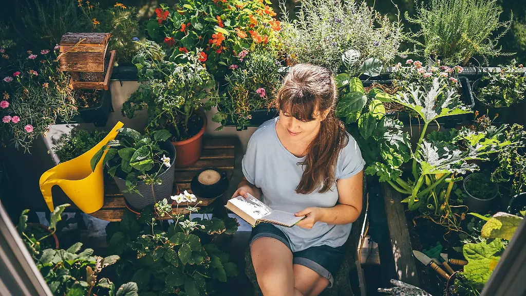 Vor-dem-Einrichten-sollte-der-eigene-Wunsch-an-den-Mini-Balkon-definiert-werden-Will-ich-eine-gruene-Oase-sollten-die-Pflanzen-in-Etagen-platziert-werden