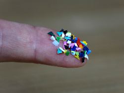19 04 2024 Borkwalde Brandenburg Auf Einem Zeigefinger Befindet Sich Mikroplastik