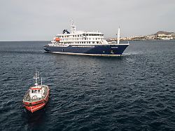 WHO bestätigt drei Todesfälle: Kreuzfahrtschiff steuert nach Hantavirus-Ausbruch die Kanaren an