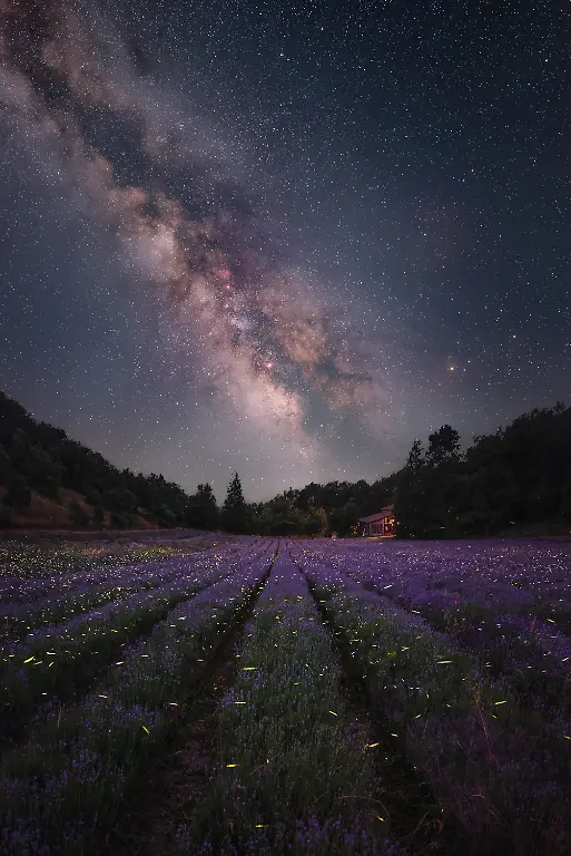 Among-rows-of-blooming-lavender-the-air-filled-with-fragrance-fireflies-appeared-like-small-lanterns-beneath-a-sky-dominated-by-the-summer-Milky-Way-a-perfect-meeting-between-the-wonders-of-Earth-and-the-night-sky-above-Astrophotography-and-night-photography-are-defined-by-moments-brief-instances-when-everything-aligns-and-each-element-falls-into-place-The-process-often-involves-working-against-changing-weather-technical-challenges-and-the-constant-search-for-the-right-timing-followed-by-careful-post-processing-Yet-when-all-these-elements-come-together-the-effort-is-always-rewarded-by-the-emotion-of-the-final-result
