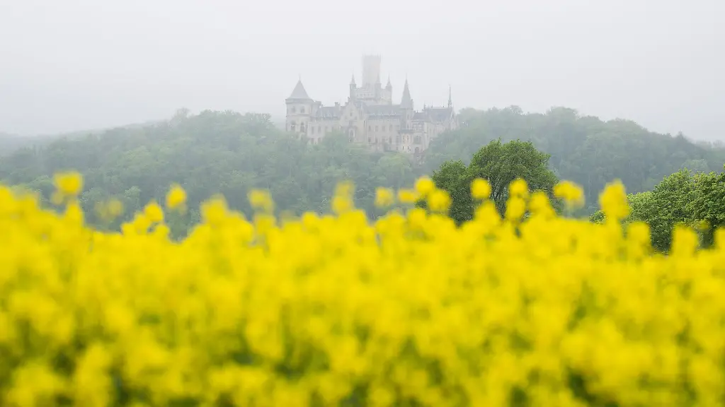In-den-kommenden-Tagen-erwarten-Meteorologen-teils-Sonne-aber-auch-Schauer