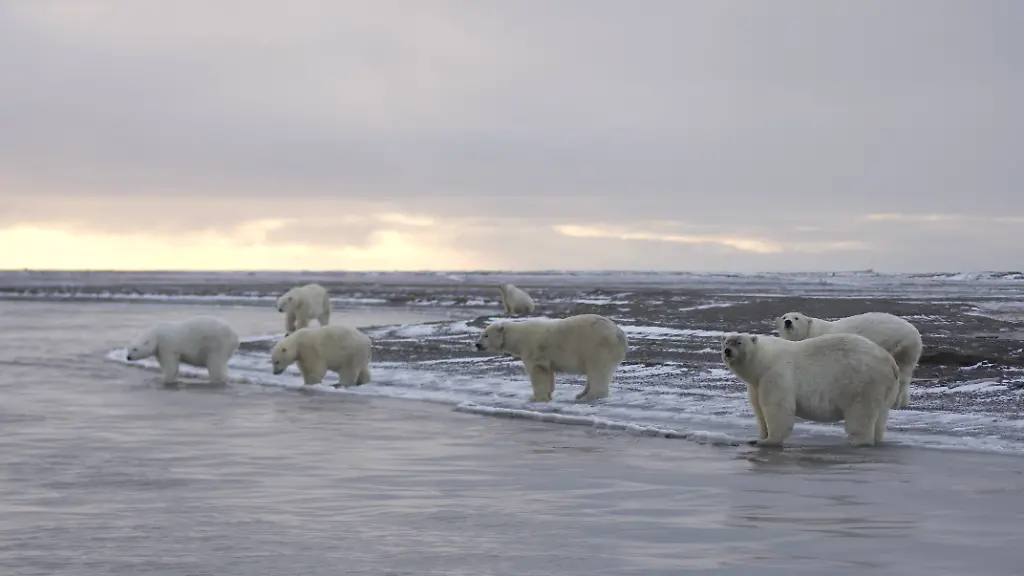 311f20104f34136cb2370a40e4435709