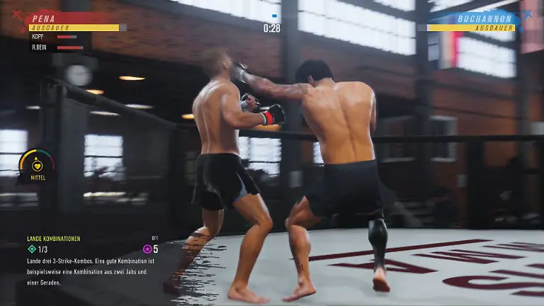 UFC-4-202005321-2020-08-16-15-00-18-mp4-00-05-09-28-Standbild005