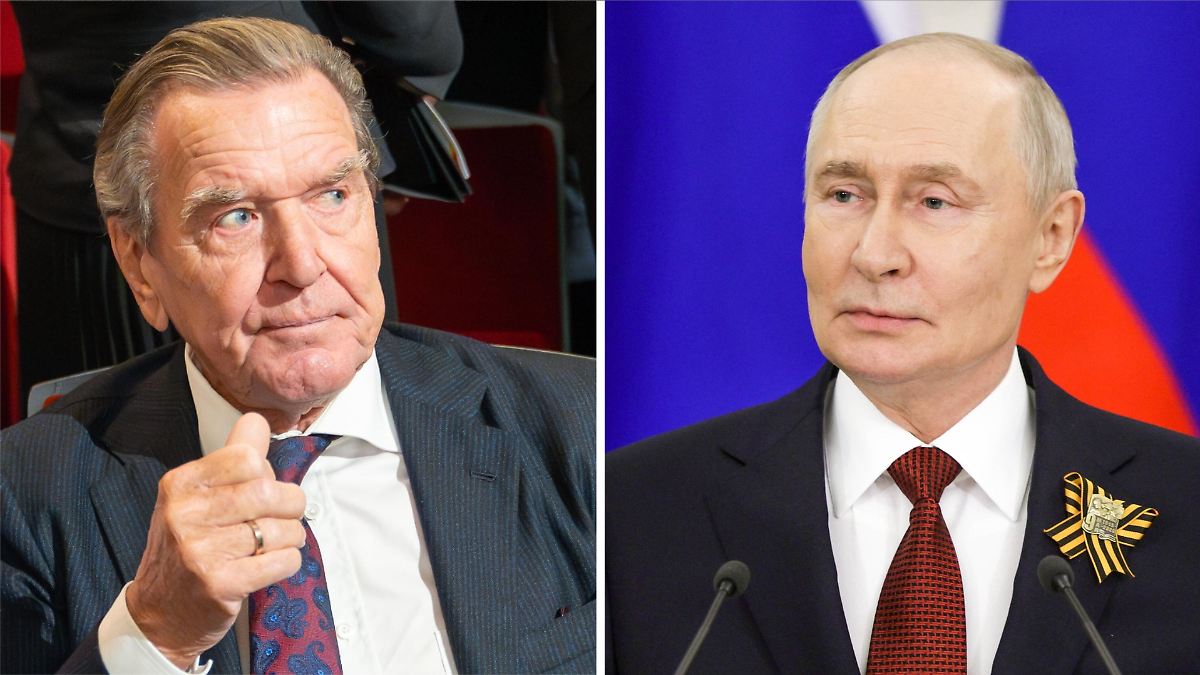 Verhandlungen über Ukraine-KriegPutin wünscht sich Schröder als Vermittler für Gespräche mit EU