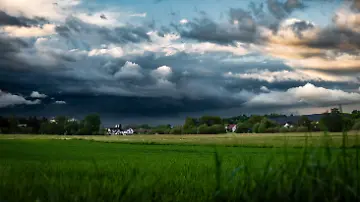 592874633