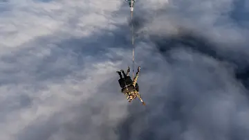 593503754
