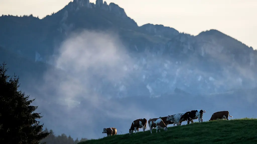 Die-Kinder-verliefen-sich-an-der-Hochplatte