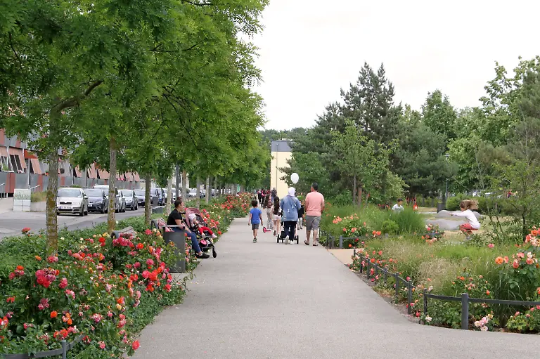 2023 06 16 Gartenstadt Drewitz DOK-P-6272© LHP Barbara Plate