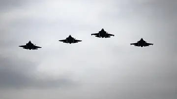 591069566